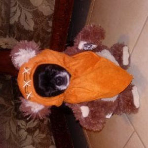 Meet your Posher, Manasseh